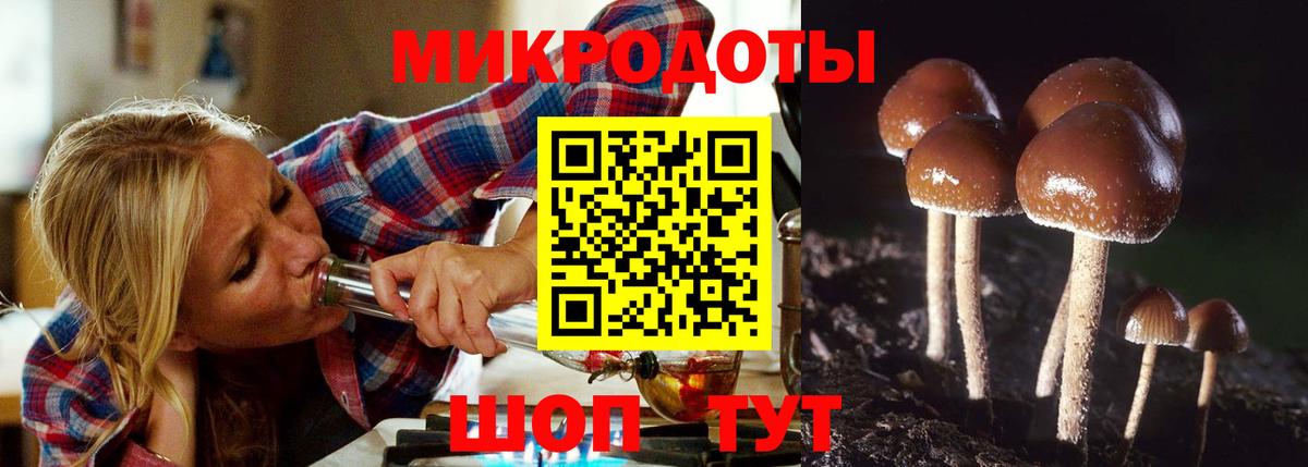 Галлюциногенные грибы Magic Shrooms Краснодар