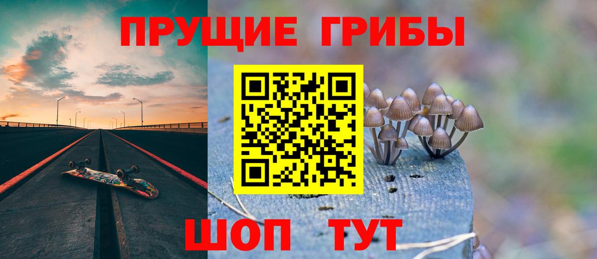 закладки  Вход с VPN  Краснодар  Галлюциногенные грибы Psilocybe 